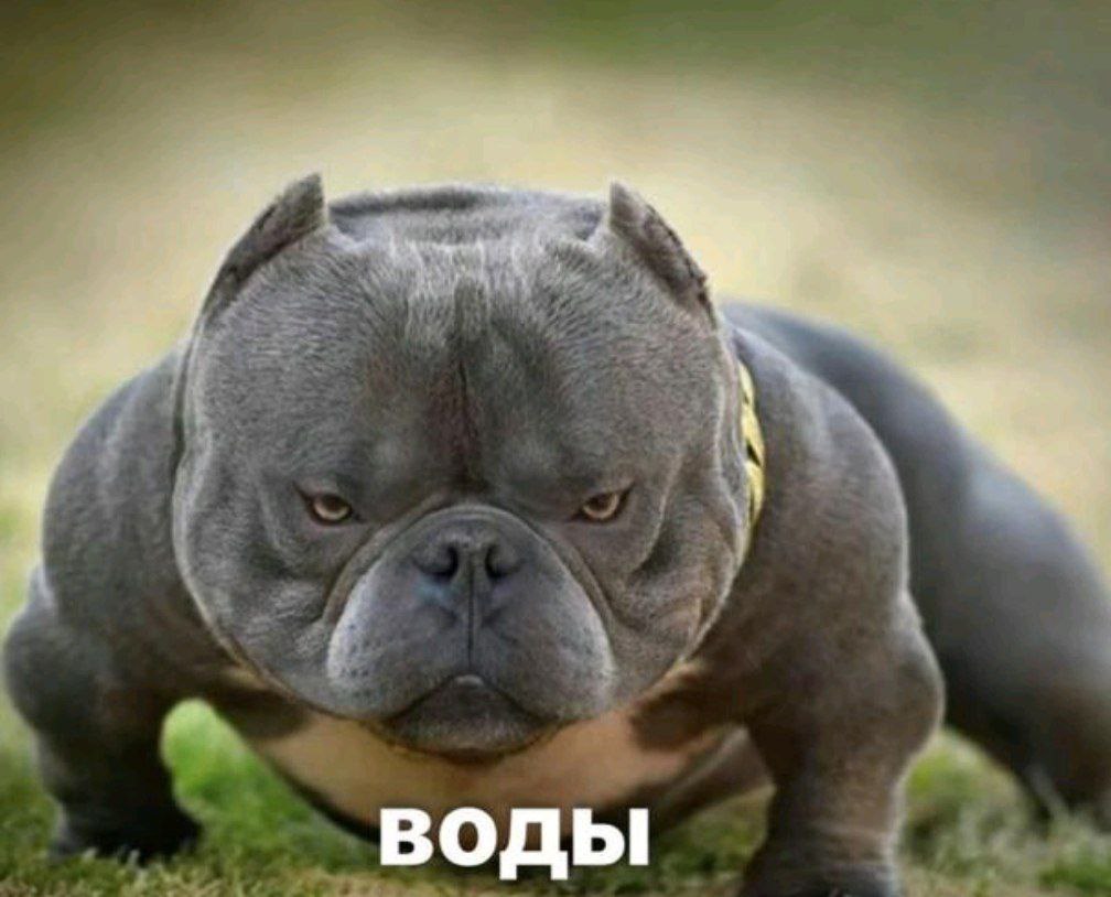 новая легенда